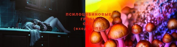 трава Зерноград