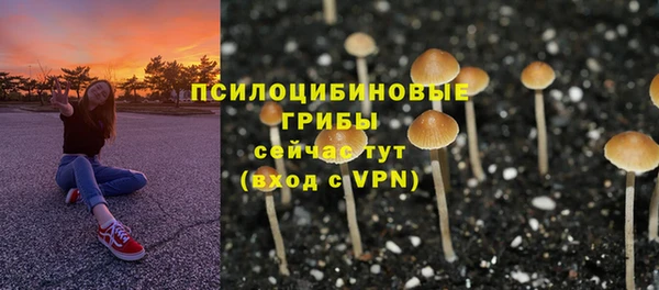 трава Зерноград