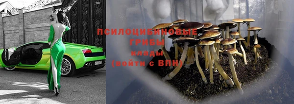 гидропоника Зеленодольск